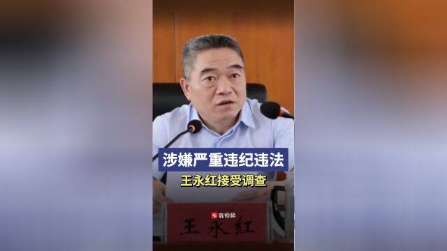 湖南省邵阳市委常委市人民政府常务副市长王永红被查