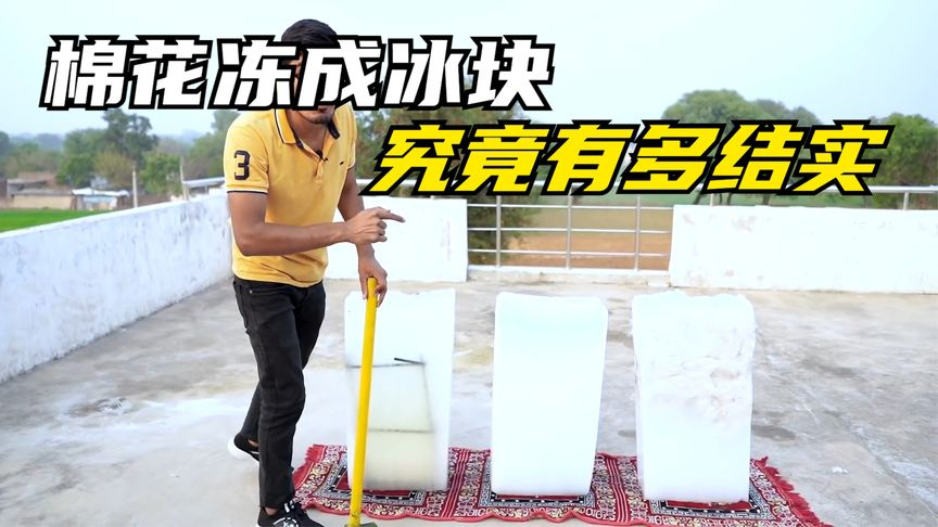 将棉花冻成冰块后,牛人使用锤子敲击,为何无法轻松敲碎?