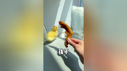 小鸭:姐姐 你在吃我姨姨嘛