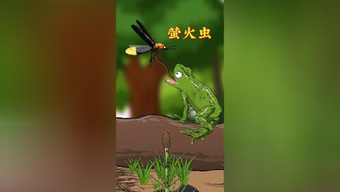 你没看错,萤火虫成虫也是有天敌的!