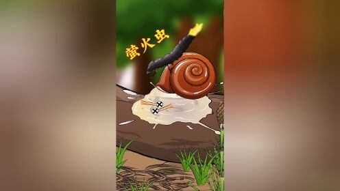 蜗牛可是萤火虫幼虫的猎物之一!