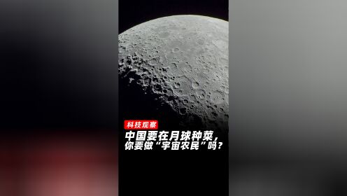 中国要在月球种菜,你要做宇宙农民吗?