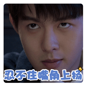 凑个十个字为朱元冰的表情包打call              查看