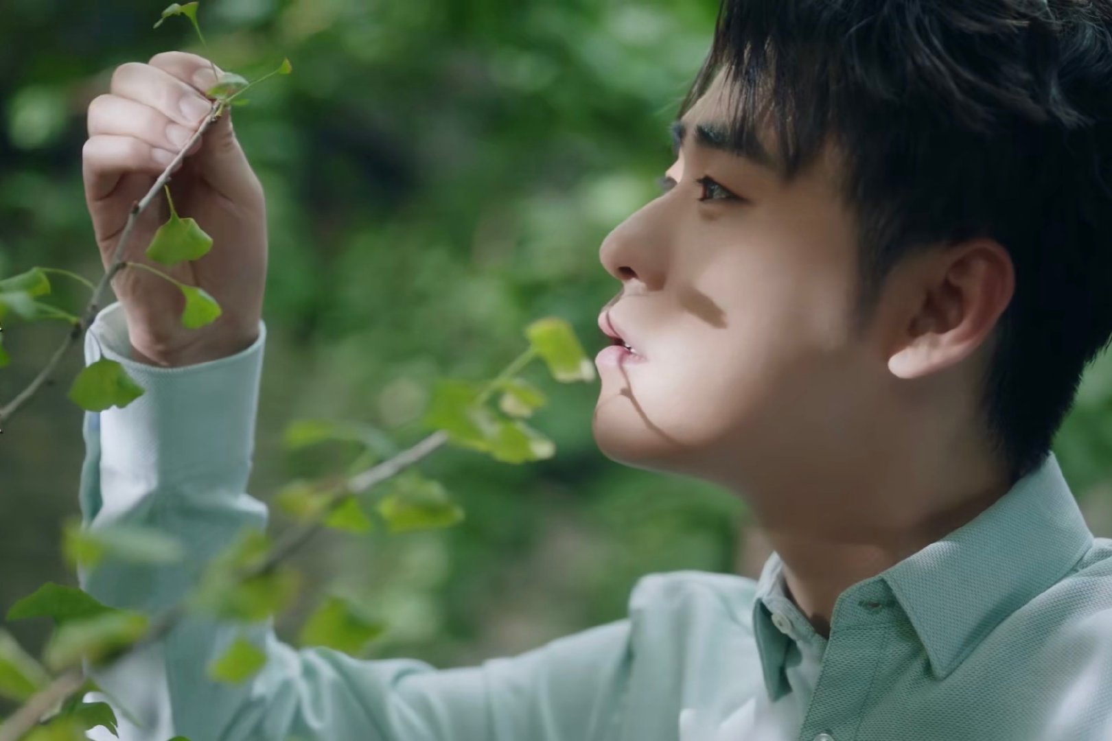 相思赋予谁小辫儿张云雷