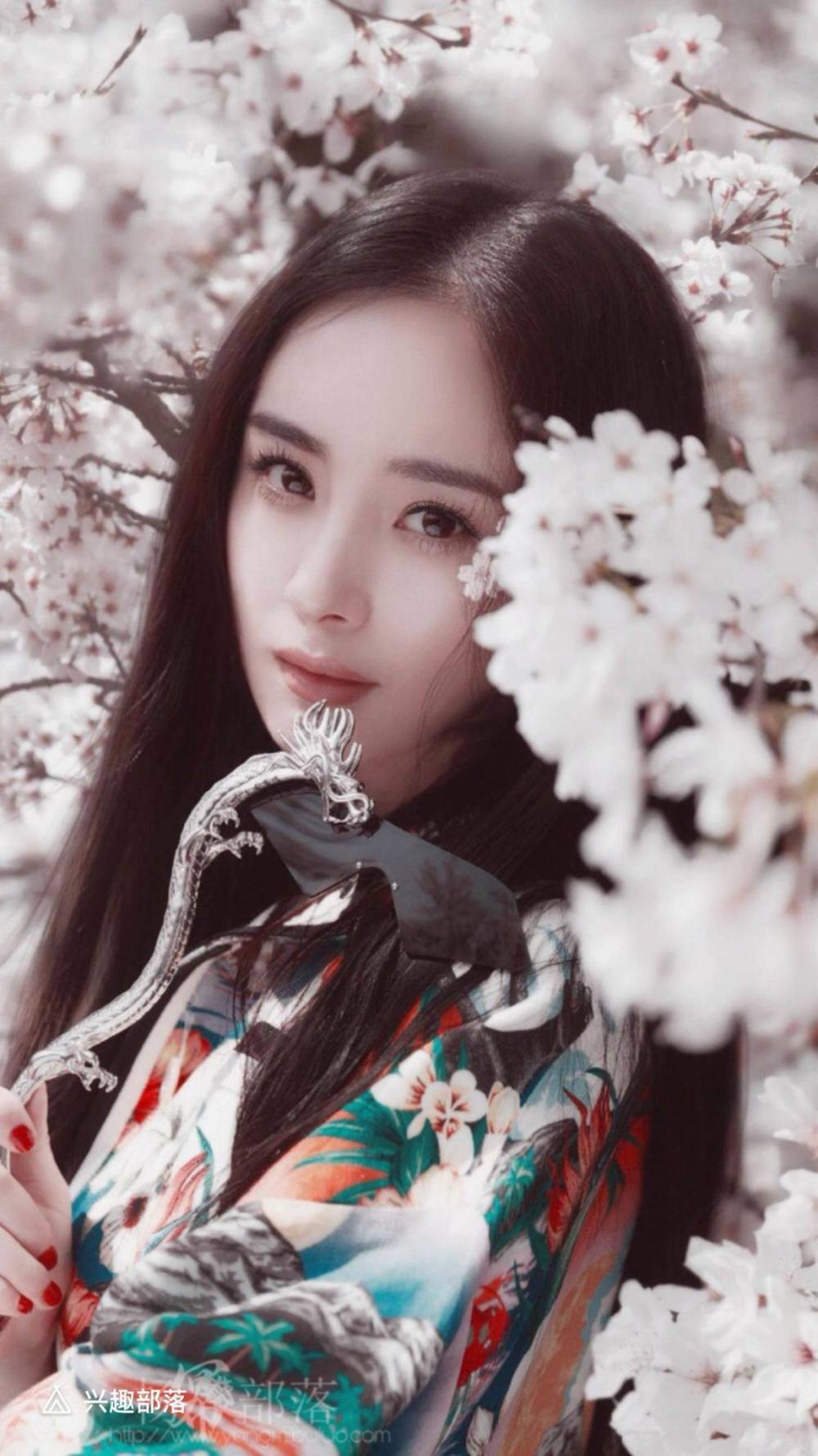 杨幂美图京都的樱花开了我又想你了