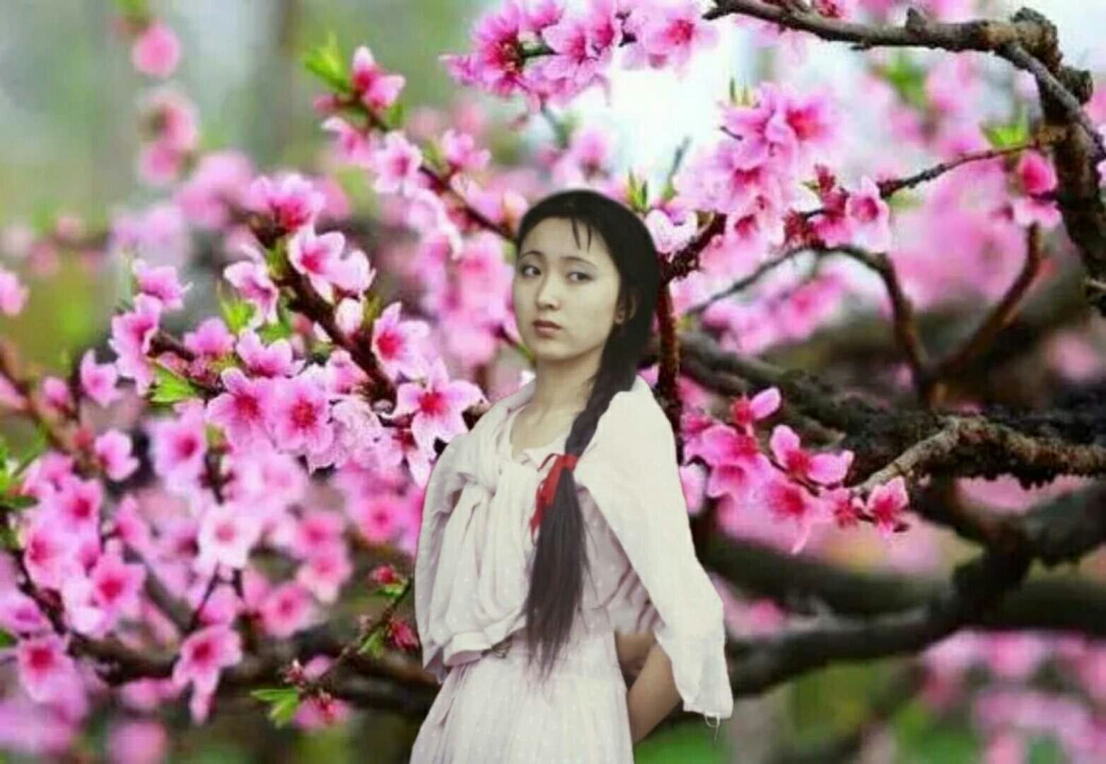 【陈晓旭】【美图】我的思念