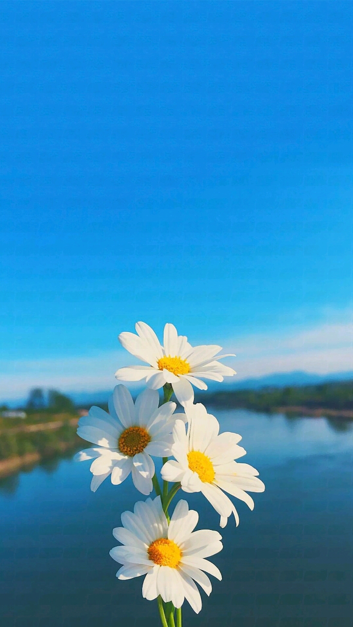 看美丽的风景让人心情愉悦..-doki-腾讯视频