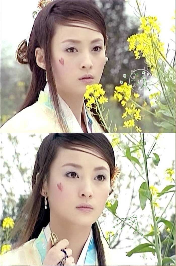 蒋勤勤/梦