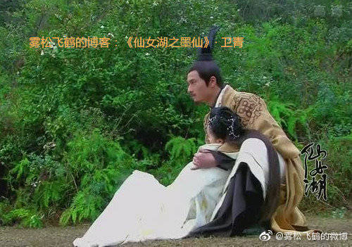 在神话剧《仙女湖》中,郑凯饰演卫青将军