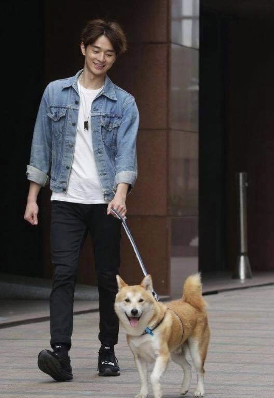 【张轩睿】【美图】最佳萌宠星拍档