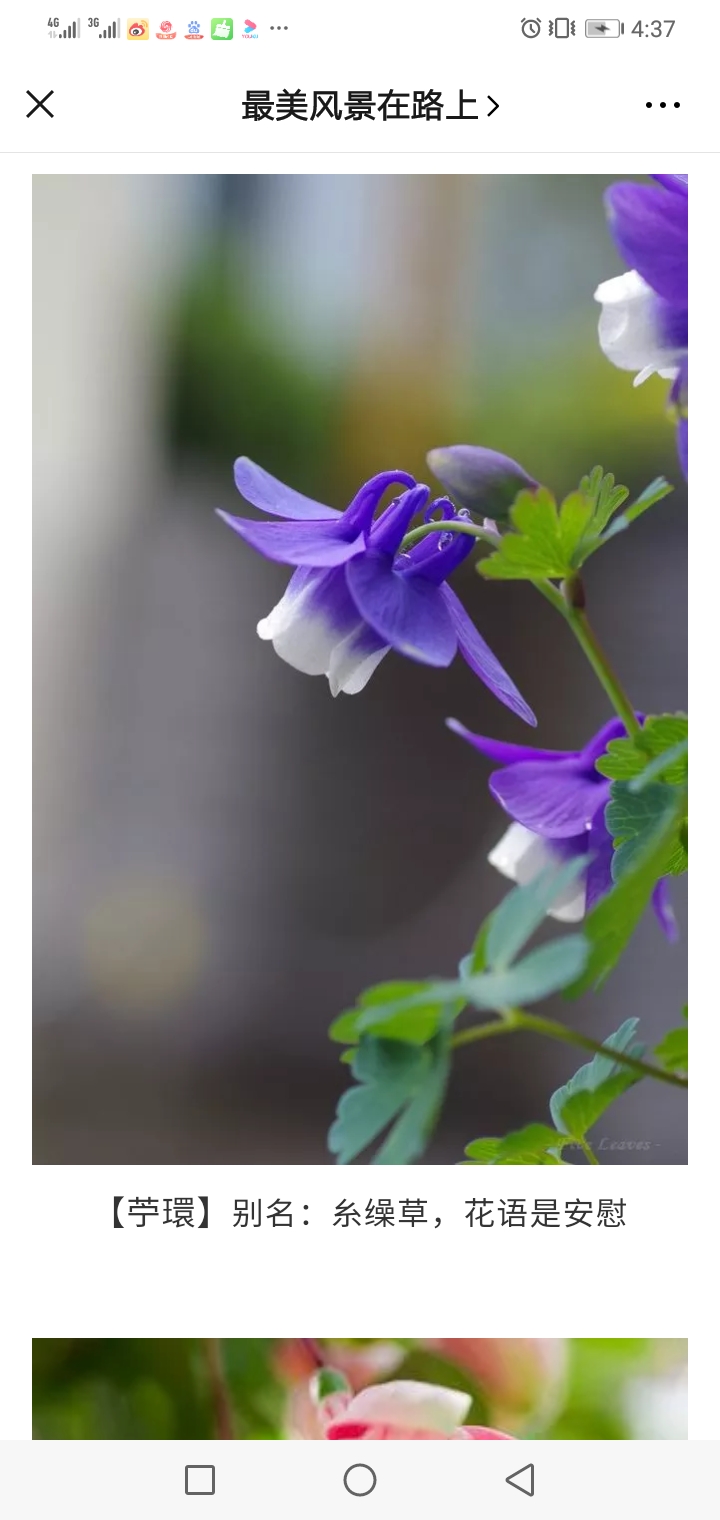 观音堂释耀松祝大家吉祥如意2020-05-28              行好道 报恩