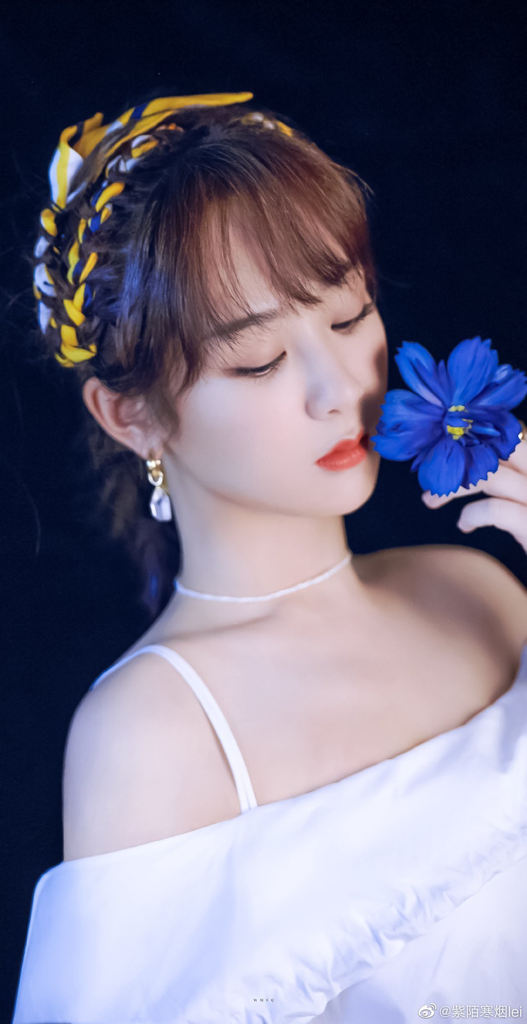 【杨紫】【美图】花的颜色