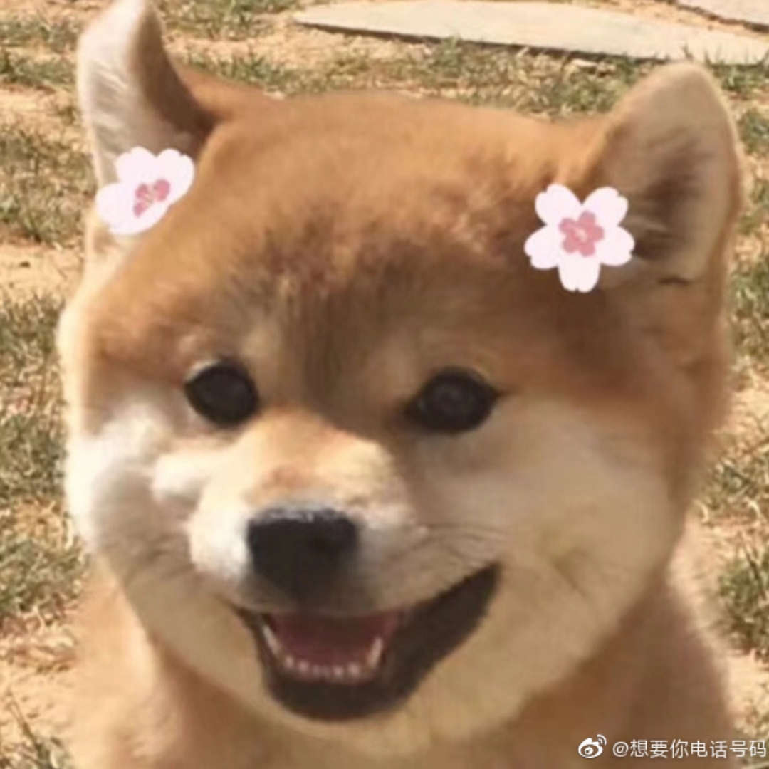 奔跑吧·茶马古道篇_极限之路大黑牛都喊着要氧气_综艺_高清完整版视频在线观看_腾讯视频