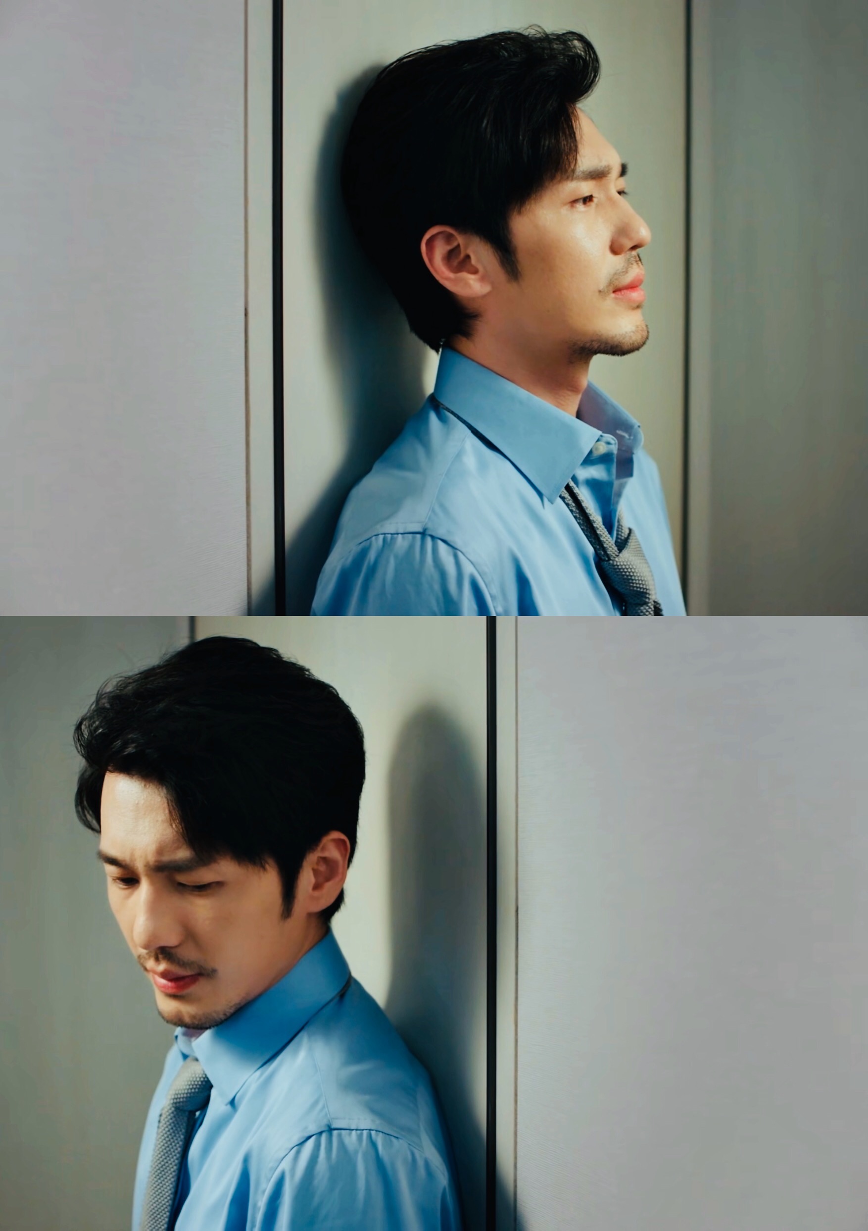 致我喜欢的白白 白起和小黑一个多月的陪伴真的很开心 愿白宇哥哥