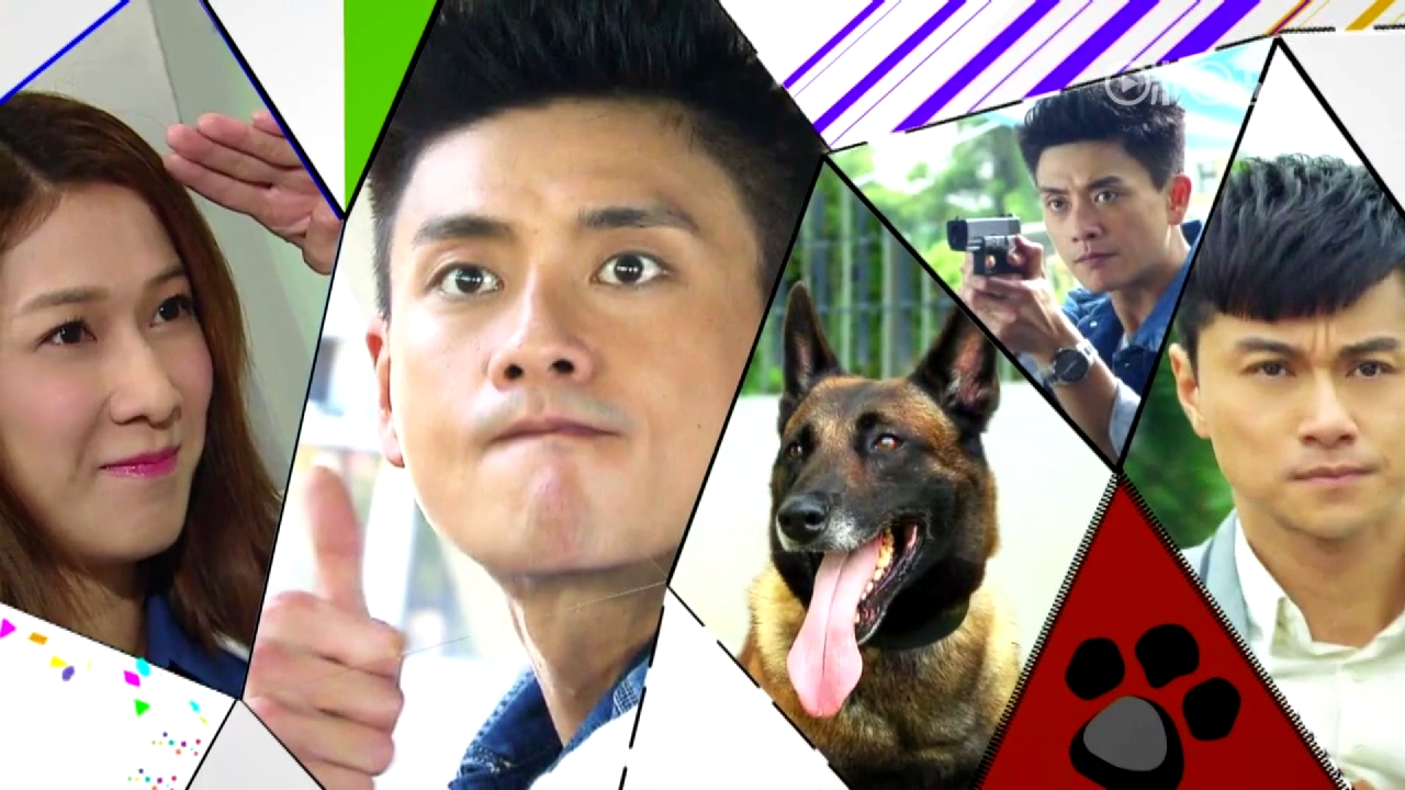 警犬巴打嘅霸气事迹