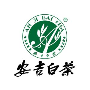 安吉白茶