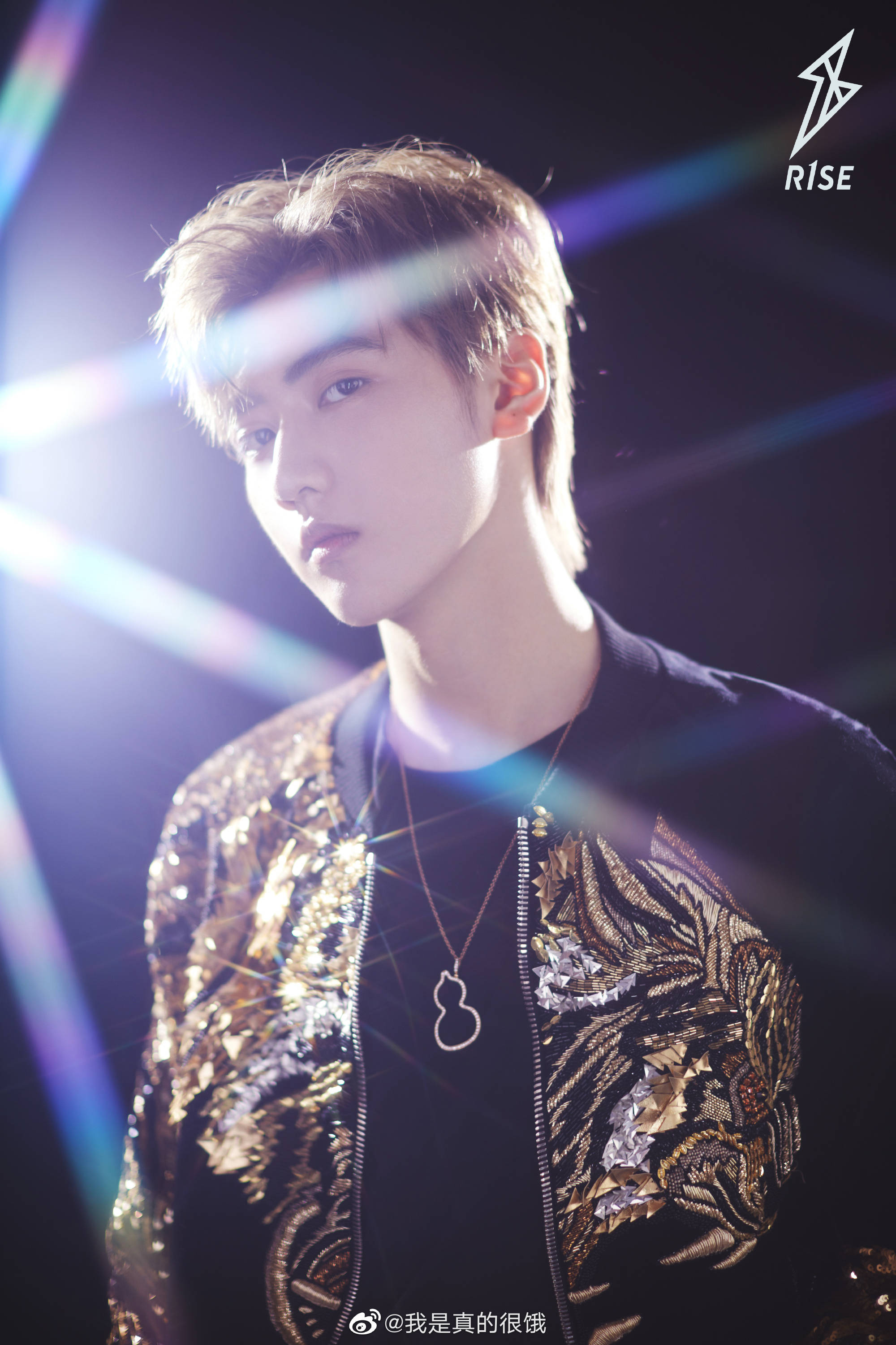 彧彧翀翀2020-02-28              你是唯一的光,未来山顶见#焉栩嘉