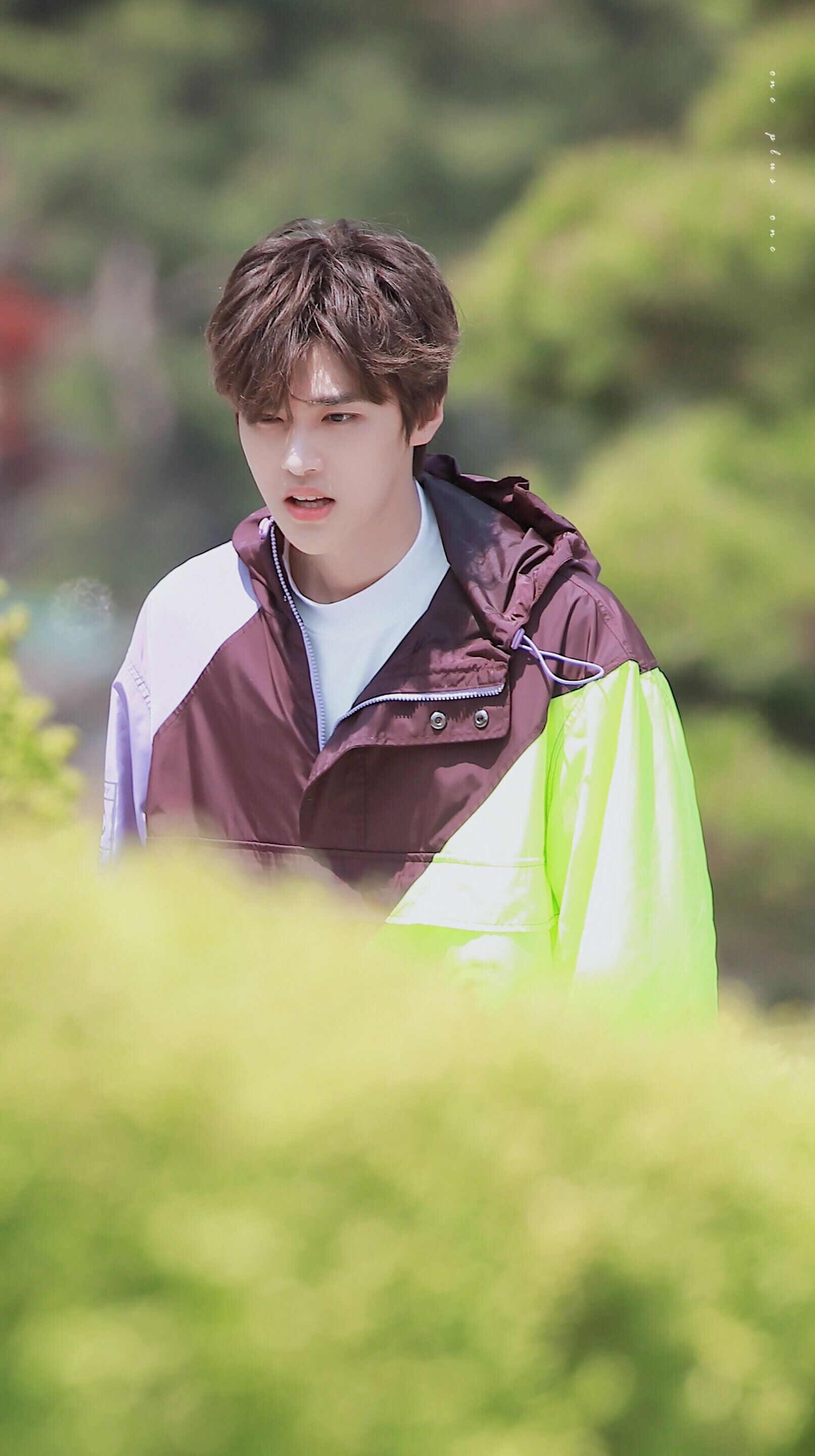 宽肩细腰大长腿嘉羿世界第一超绝可爱嘉羿橘子汽水味的嘉羿软糖姐姐最