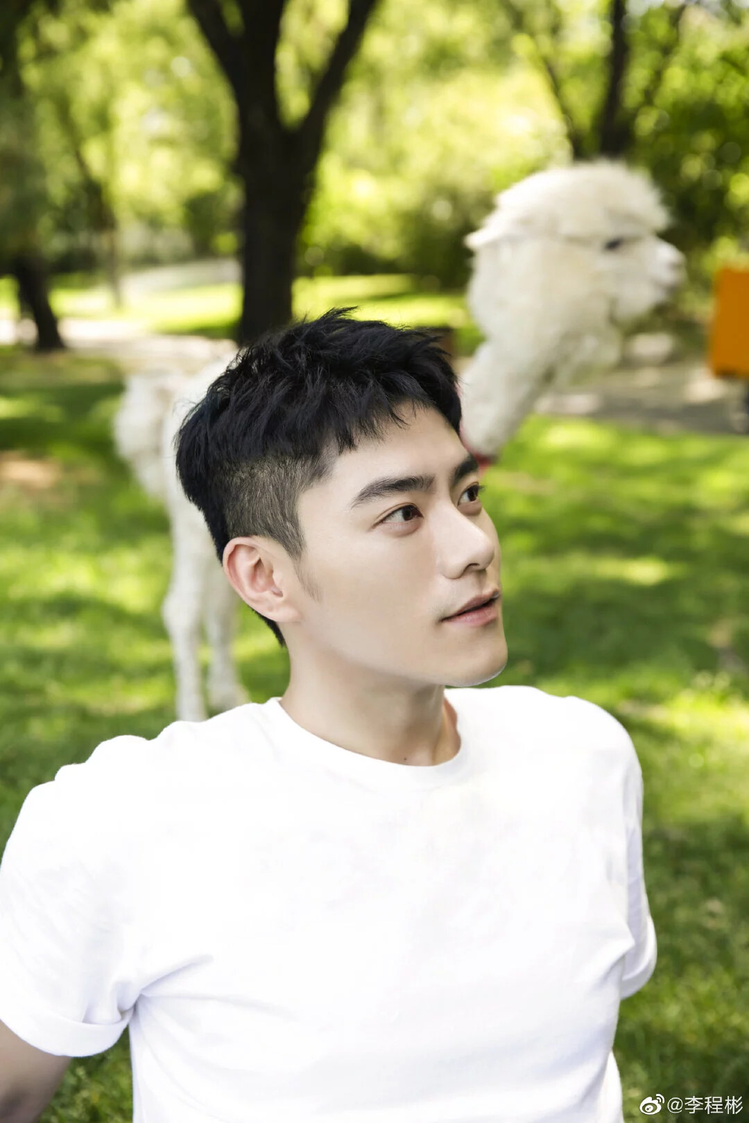帅气的李程彬
