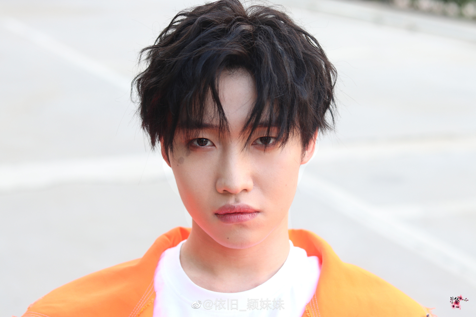 【邓典】繁星典典唯爱邓典