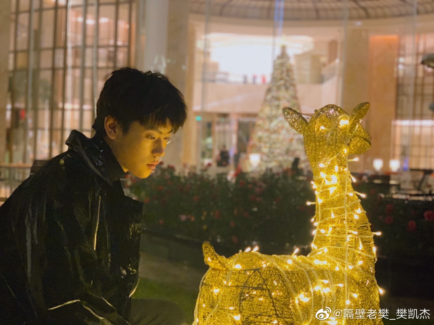 宝藏男孩樊凯杰