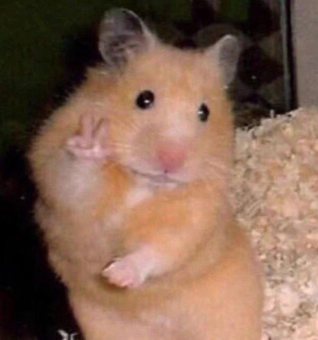 生2019-03-25              生活还是美好的,随时随地比耶