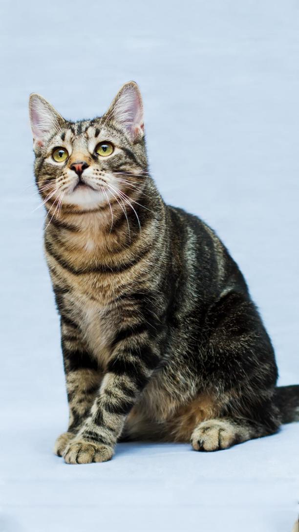 崔真真doki腾讯视频：超全的崔真真资讯、视频、粉丝、直播、活动集合