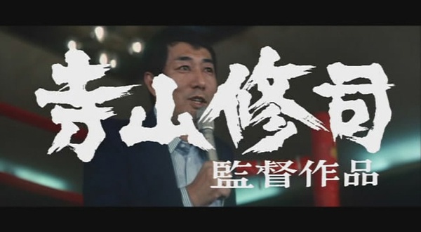 拳师(the boxer)-电影-腾讯视频