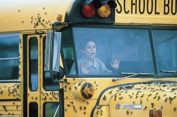 蚂蚁杀手killerants电影