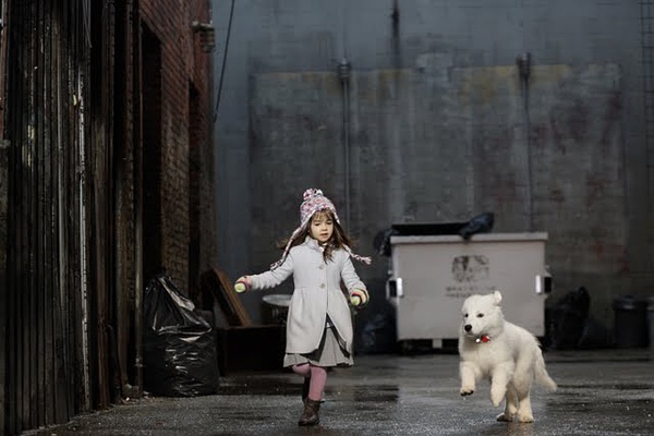 圣诞巴迪santabuddies电影