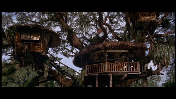 海角乐园swissfamilyrobinson电影