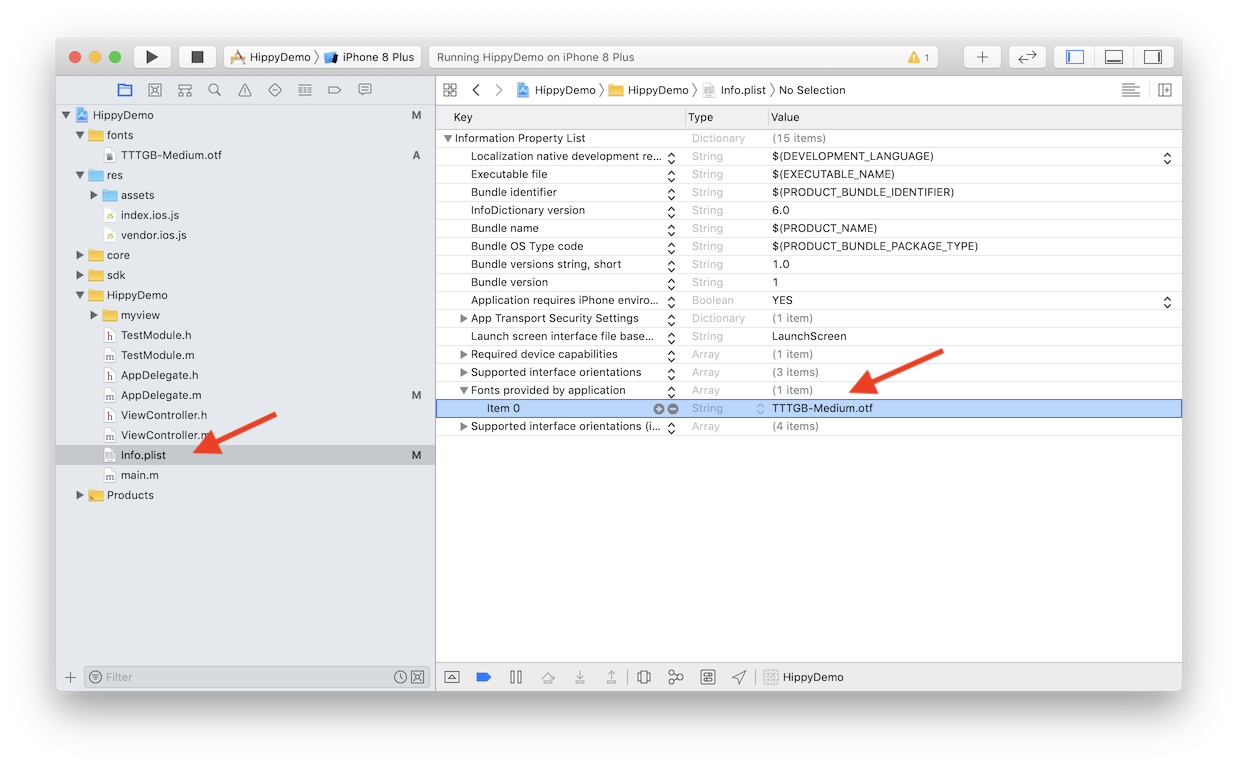Info.plist